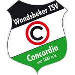 Concordia team flag