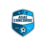 Concorde team flag