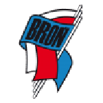 Broń Radom team flag