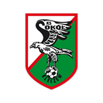 Sokół Kleczew team flag