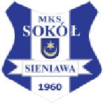 Sokół Sieniawa team flag