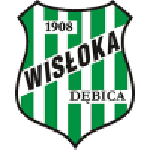 Wisłoka Dębica team flag