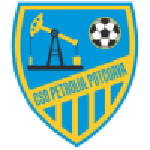 Petrolul Potcoava team flag