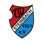 TSV Steinbach team flag