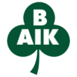 Bergnäsets team flag