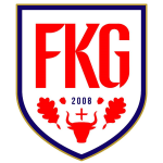 Garliava team flag