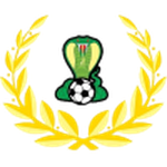 Adelaide Cobras team flag