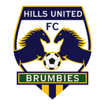Hills Brumbies team flag