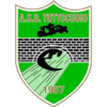Tuttocuoio team flag