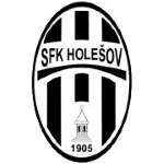 Holešov team flag