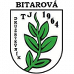 TJ Družstevník Bitarová team flag