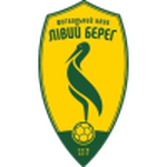 Livyi Bereh team flag