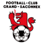 Grand-Saconnex team flag