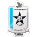 Bayelsa United team flag