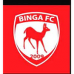 Binga team flag