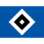 Hamburger SV flag