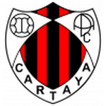Cartaya team flag
