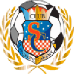 Sporting Canamy team flag