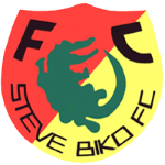 Steve Biko team flag