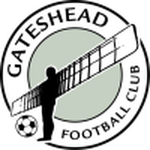 Gateshead team flag