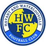 Havant & Wville team flag