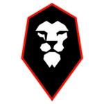 Salford City team flag