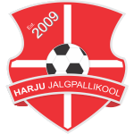Laagri team flag