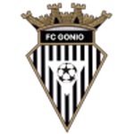 Gonio team flag