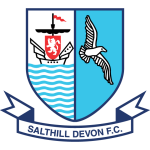 Salthill Devon team flag
