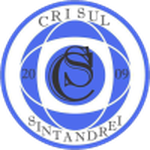 Crişul Sântandrei team flag
