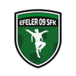 Efeler 09 Spor team flag