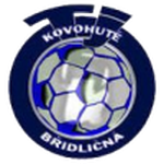Břidličná team flag