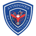 Chilpancingo team flag