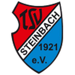 TSV Steinbach II team flag