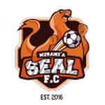Murang'a SEAL team flag