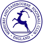 Midhurst & Easebourne team flag