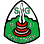 Bad Soden team flag