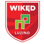 Luzino team flag