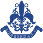 Liskeard Athletic team flag