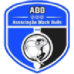Black Bulls Maputo team flag