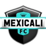 Mexicali FC team flag
