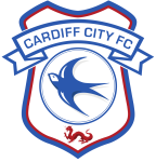 Cardiff City U21 team flag