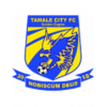 Tamale City team flag