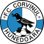 Corvinul Hunedoara team flag