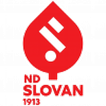 Slovan Ljubljana team flag