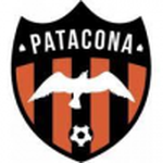 Patacona team flag