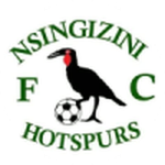 Nsingizini Hotspurs team flag