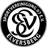 Elversberg team flag