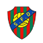 Damaiense W team flag