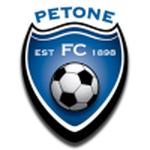 Petone team flag
